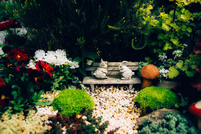 View of flowering plants in garden