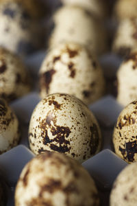 Quail eggs in a plastic box.