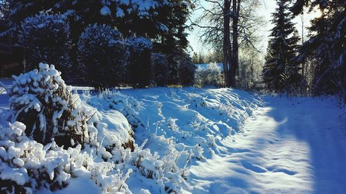 Scenic view of snow covered field