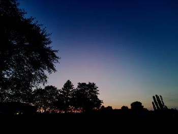 Silhouette trees against sky at sunset