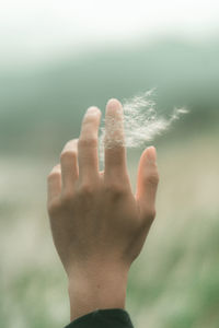 Hands holding plant outdoors