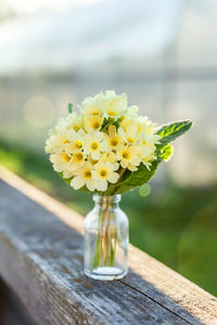 Close-up of white flower vase on table