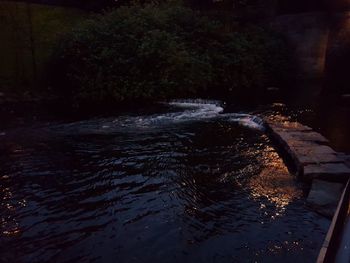 River flowing through forest