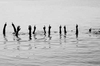 Hands above water