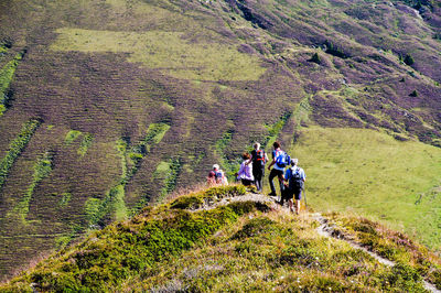 People standing on grassy landscape