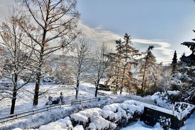 Snow covered mountain against sky