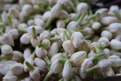 Full frame shot of chopped vegetables