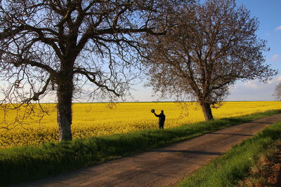 Mid distance view of man standing by field against sky