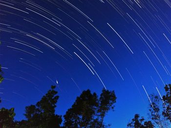 Low angle view of trees against sky at night