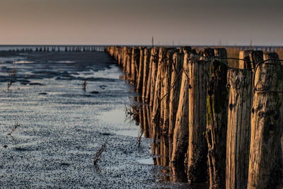 Wooden posts on beach against sky