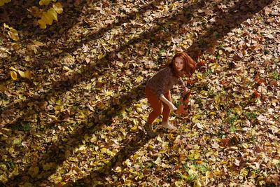 High angle view of monkey on tree