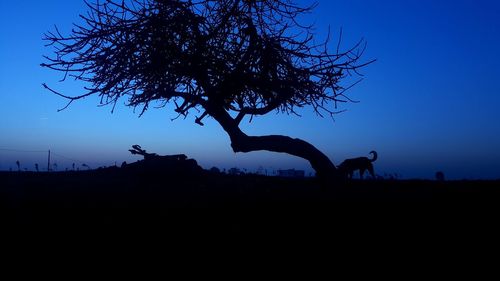 Silhouette tree on field against sky