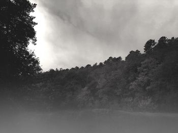 Low angle view of trees against sky