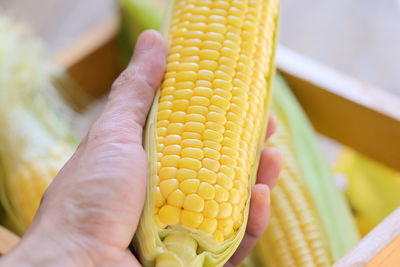 sweet corn