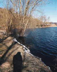 Shadow of tree on lake against sky