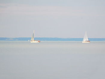 Sailboat sailing on sea against clear sky