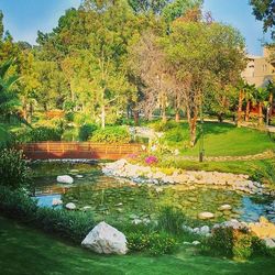 View of pond in park