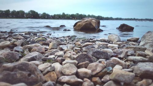 Surface level of rocks