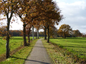 Road amidst trees against sky during autumn