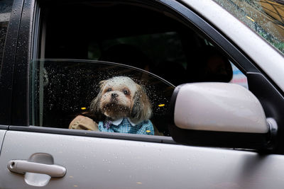 Portrait of woman seen through car window