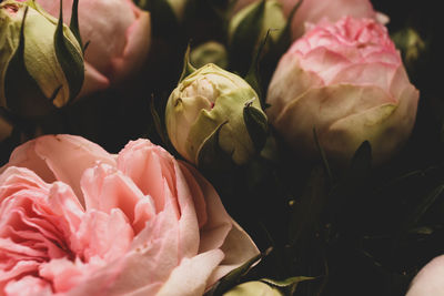 Close-up of pink rose bouquet