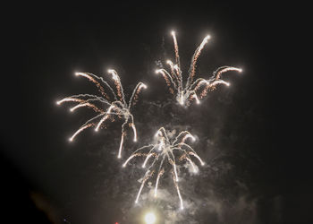 Fireworks in sky at night