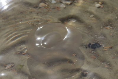 Close-up of water