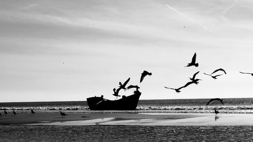 Birds flying over beach against sky