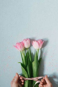 Women's hands tie a satin ribbon bow on a simple bouquet of fresh pink tulips, flowers