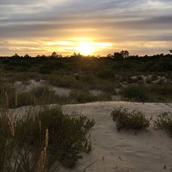 Scenic view of landscape at sunset