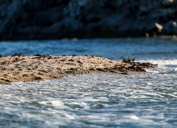 Surface level of rocks on sea shore