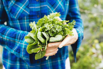 Midsection of person holding plant