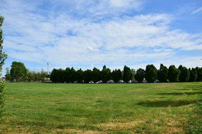 Trees on field against sky