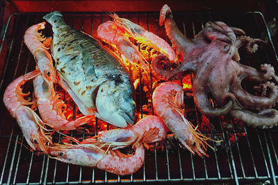 High angle view of fish on barbecue grill