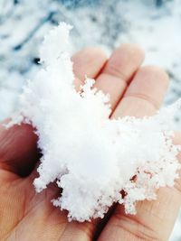 Cropped hand holding snowflakes