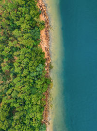 High angle view of trees by sea