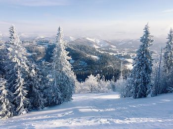 Close-up of snow covered landscape against sky