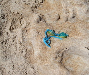 High angle view of toy on sand