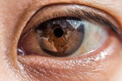 Close-up of human eye