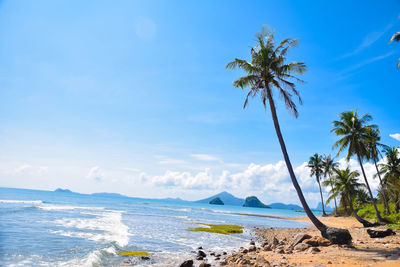 Scenic view of sea against blue sky