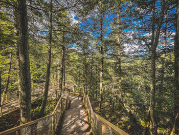 Pathway through the mountains 