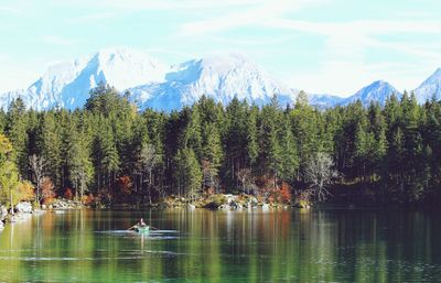 Scenic view of lake by trees against sky