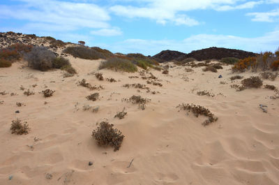 Scenic view of desert against sky