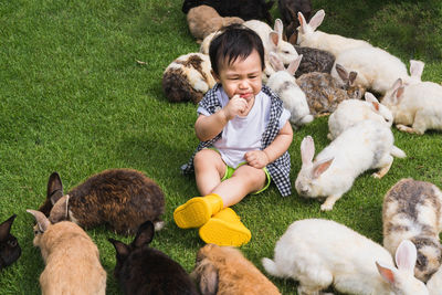 High angle view of boy sleeping on grassy field