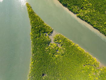 High angle view of agricultural field