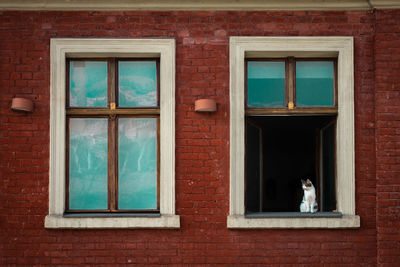 Low angle view of window on wall of building
