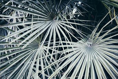 Full frame shot of metallic structure