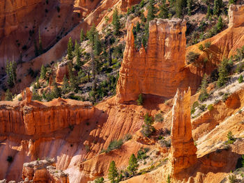 View of hoodoos in bryce canyon national park, utah, usa