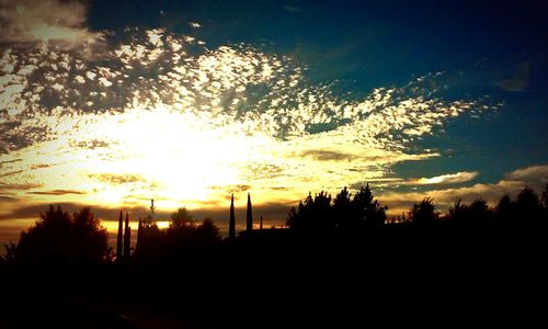 Silhouette of trees at sunset