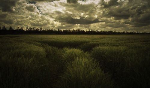 Scenic view of field against cloudy sky